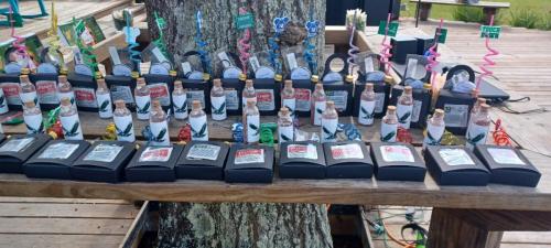 Resized 20231007 132127.jpeg